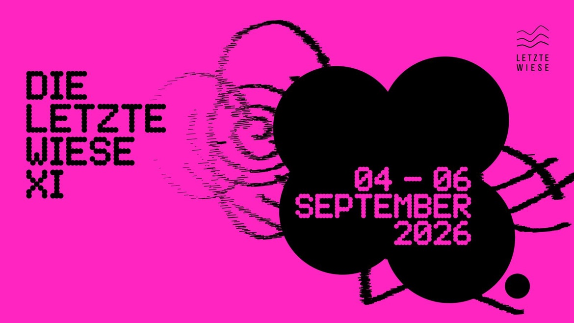 DIE LETZTE WIESE  XI